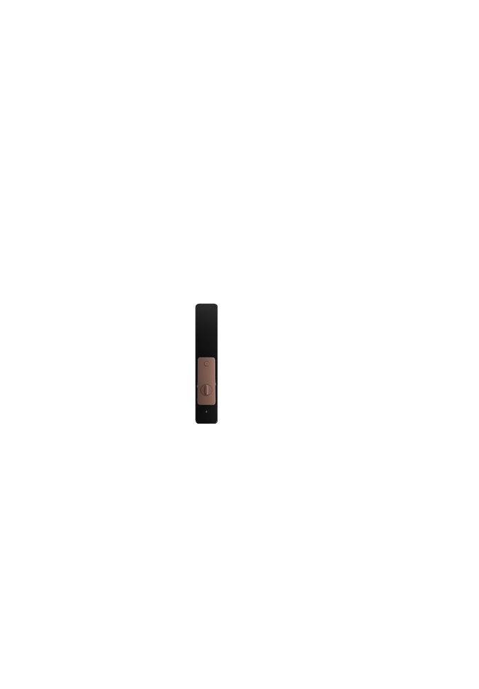 Aqara Smart Lock D200i